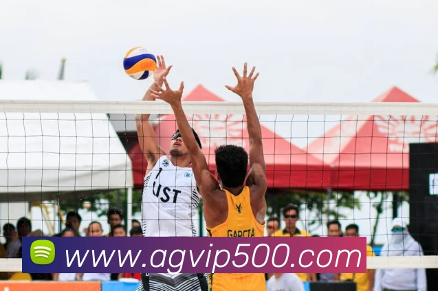 500彩票平台生态图